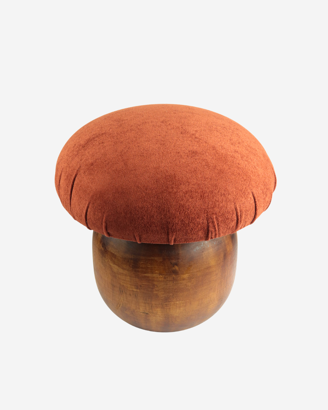 Banco Cogumelo Boletus