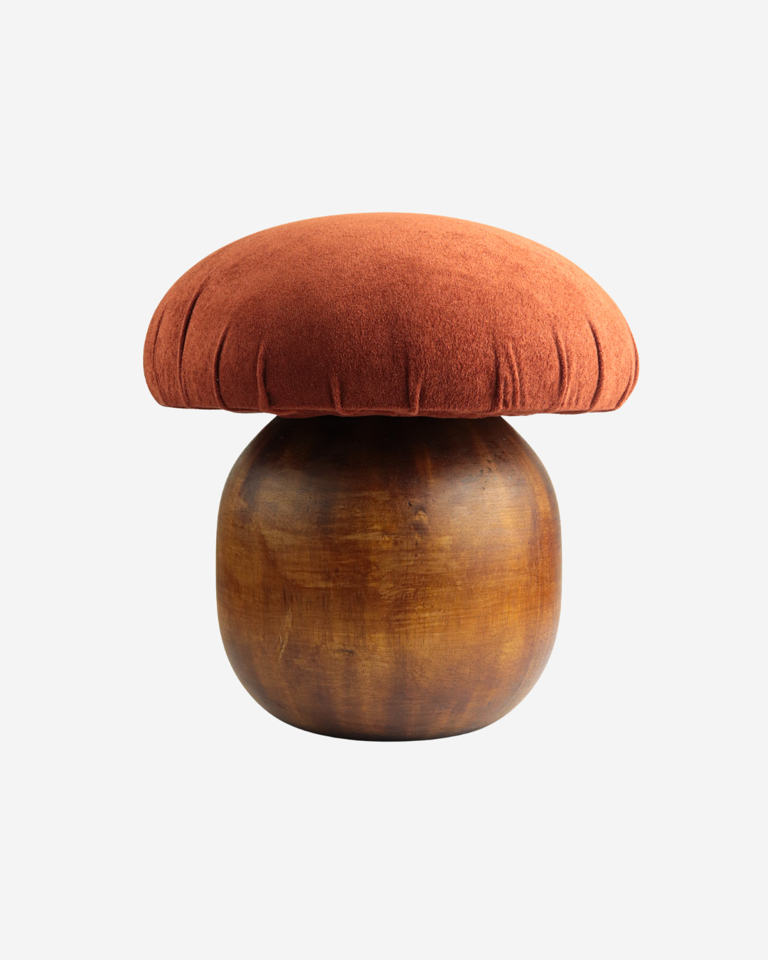 Banco Cogumelo Boletus