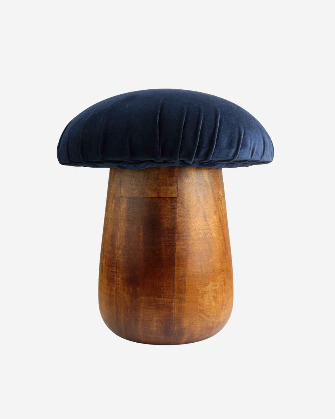 Banco Cogumelo Porcini