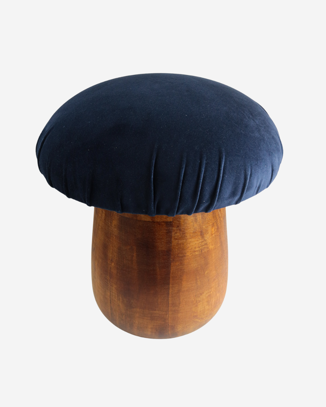 Banco Cogumelo Porcini