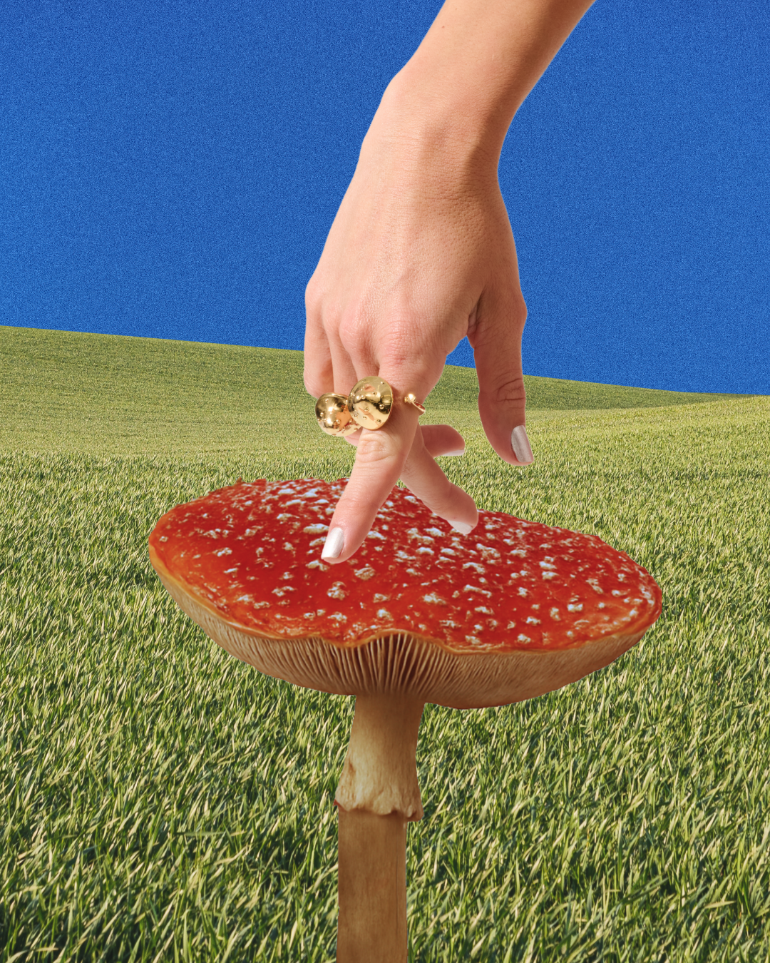 Anel Cogumelo Triana