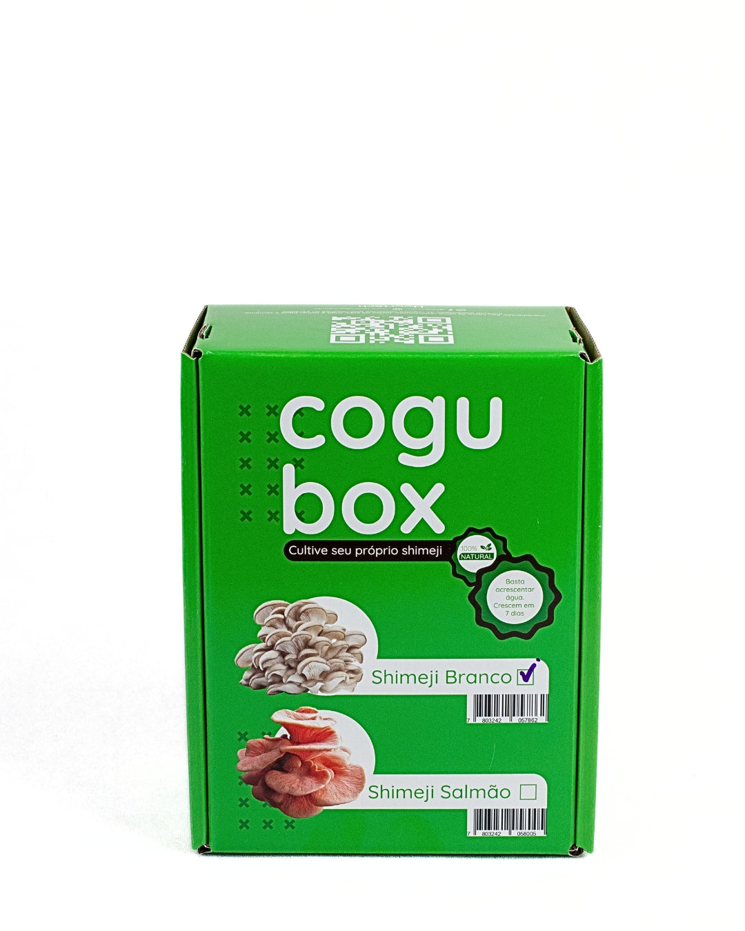 Cogu Box: Cultive seu próprio Shimeji