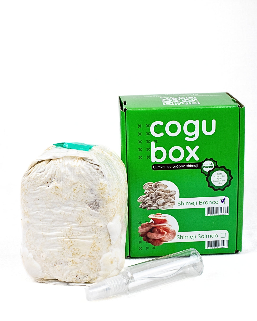 Cogu Box: Cultive seu próprio Shimeji