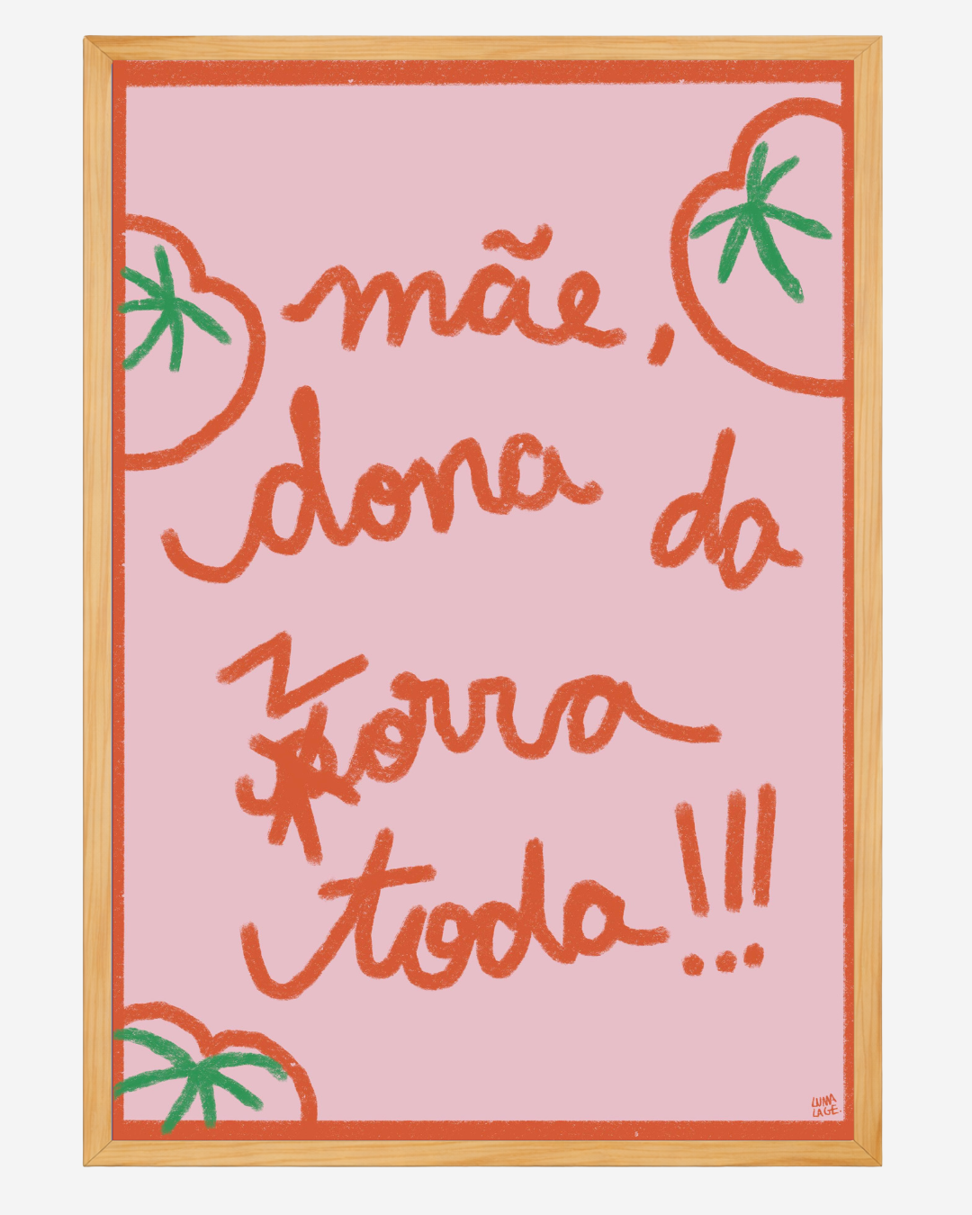 Pôster Dona da Zorra