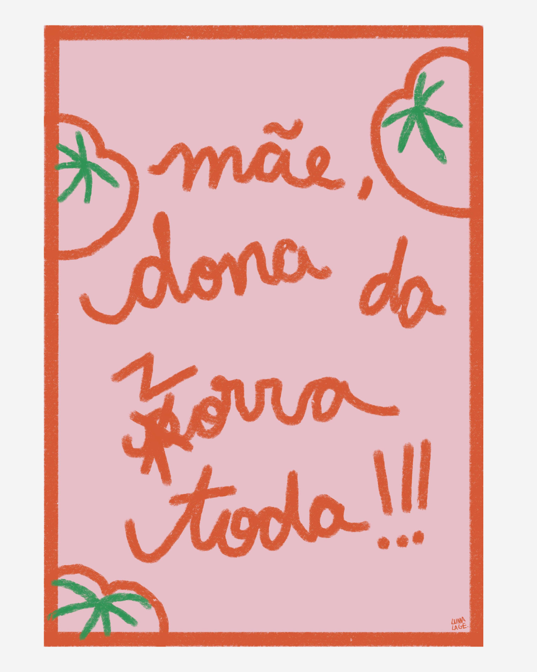 Pôster Dona da Zorra