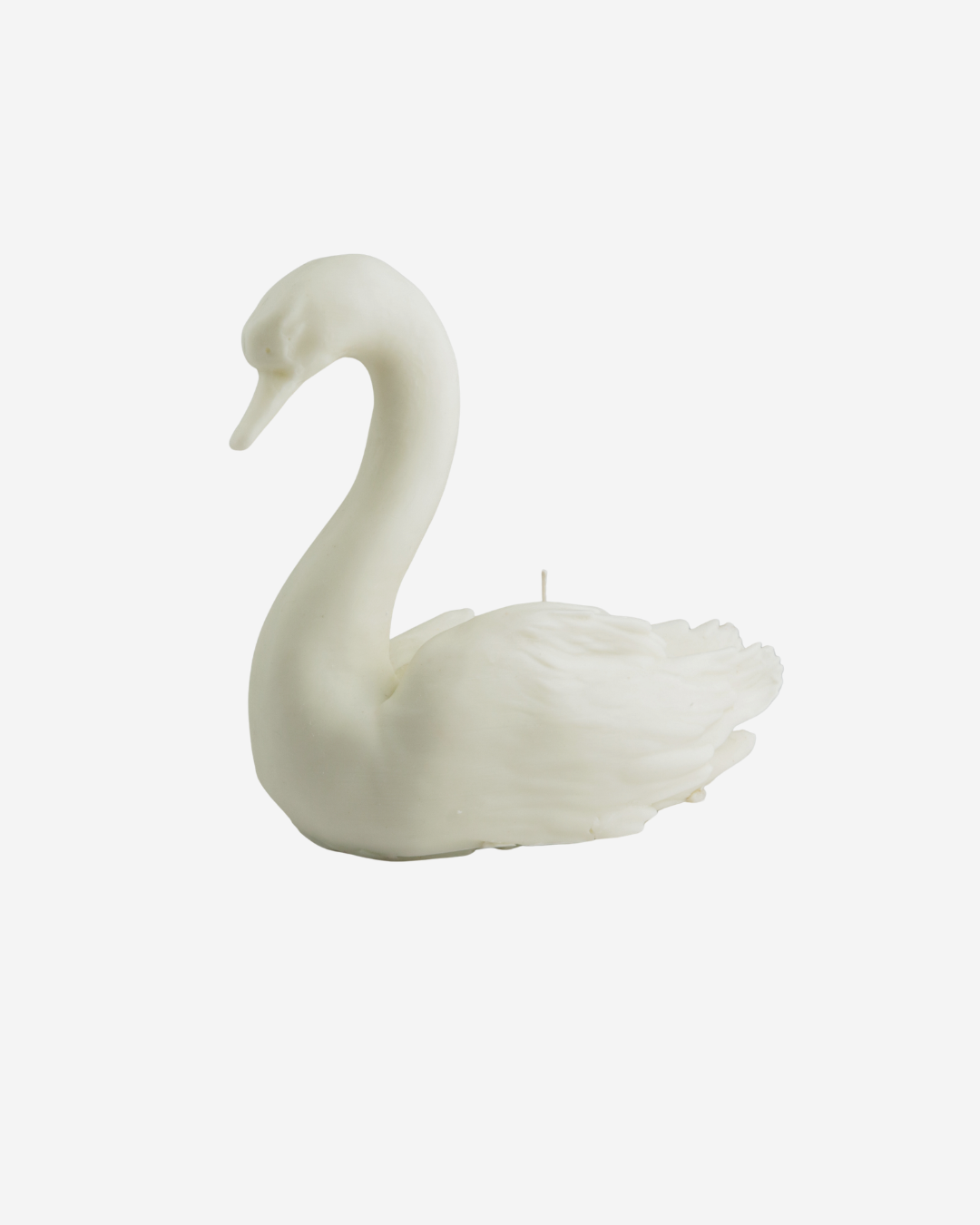 Vela Cisne