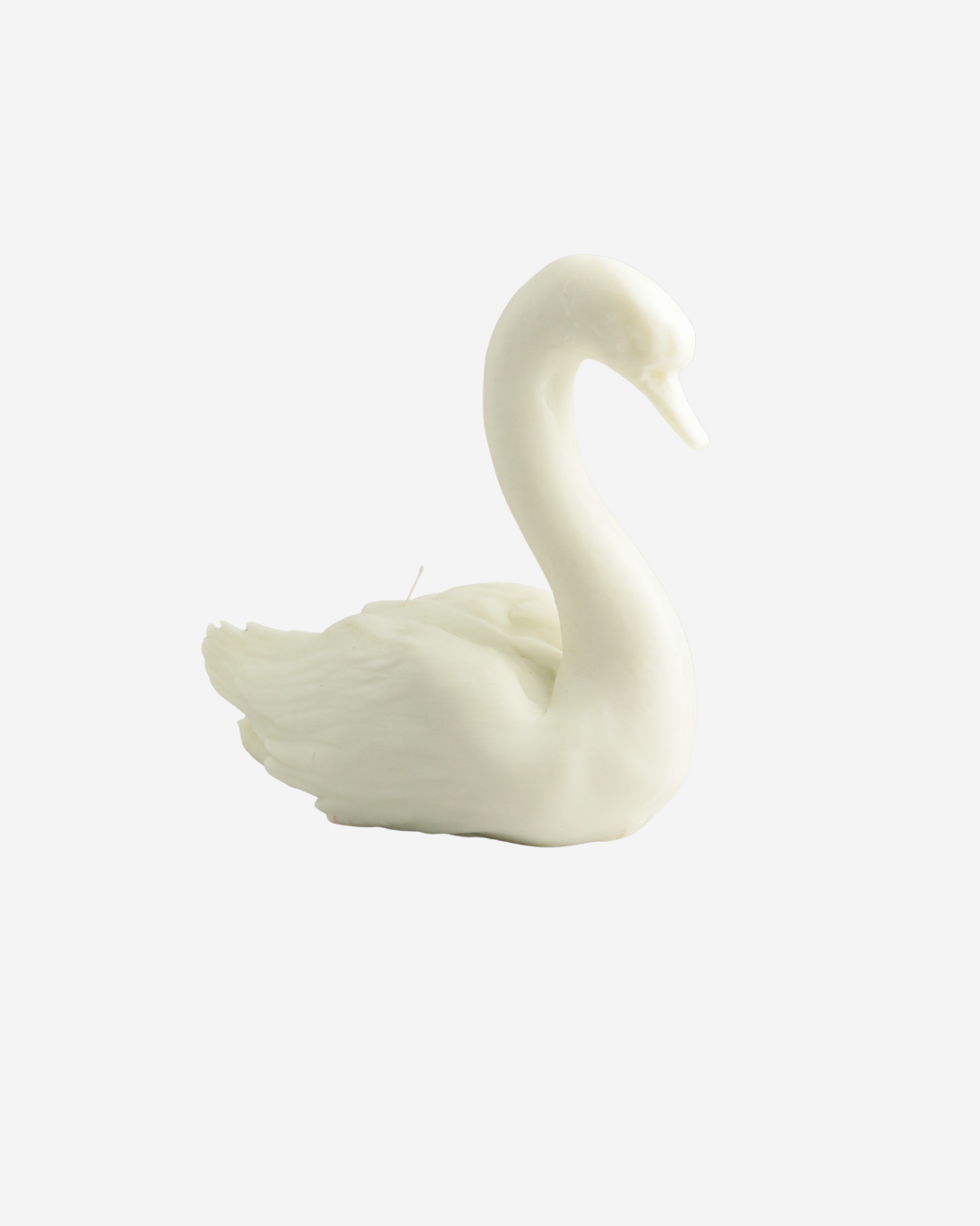 Vela Cisne
