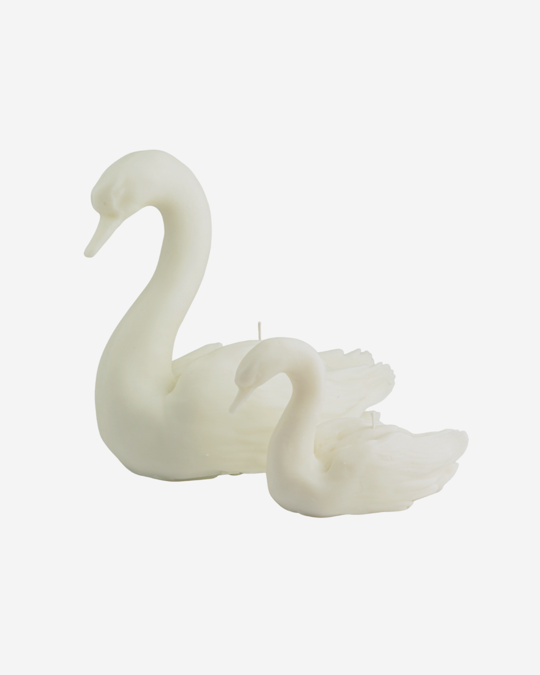 Vela Cisne